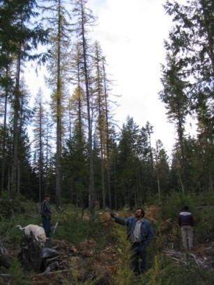 Larger opening with larger regen.