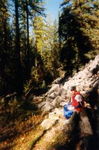 Mid elevation talus slope habitat area.