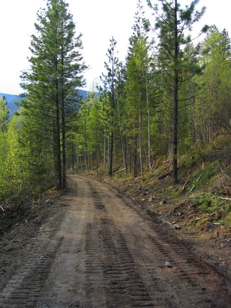 The Silica Mine Road.