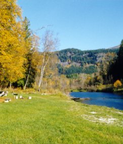 Read about Riparian Zones here